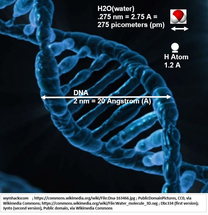 microscopic_compare_DNA_to_H