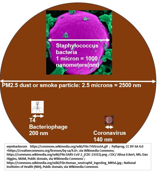 microscopic_compare_PM2p5_to_Coronavirus