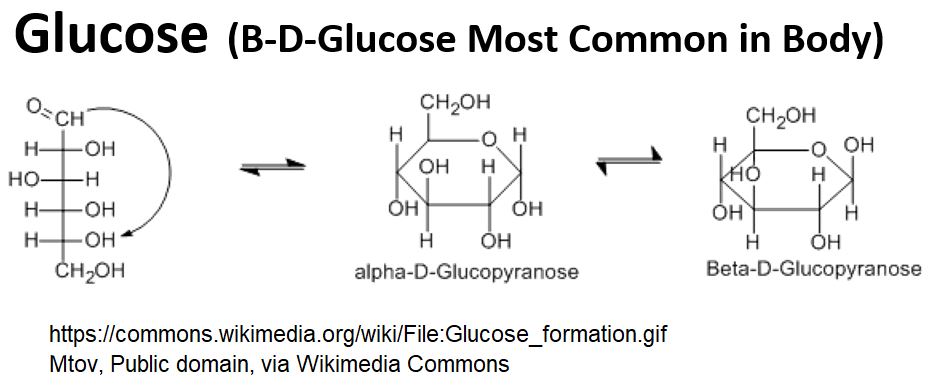 Glucose Structure