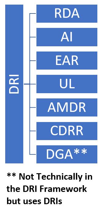 DRI Sub-definitions Table