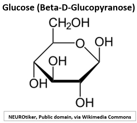 Glucose Beta Structure