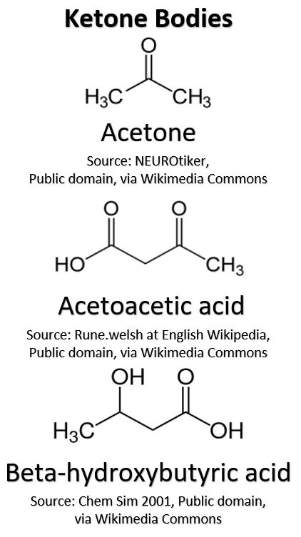 Ketone Bodies