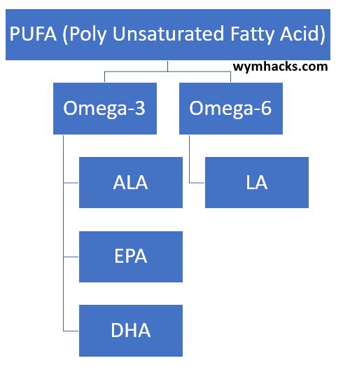 PUFA Polyunsaturated Fatty Acids are Omega 3 and Omega 6 acids