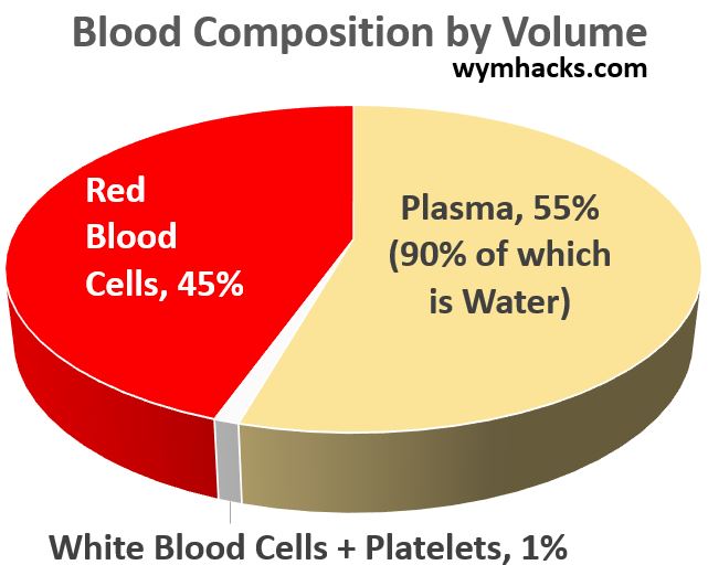 Blood Composition by Volume