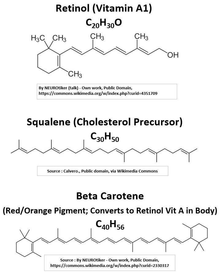 Terpene Examples - Retinol, Squalene, Beta Carotene