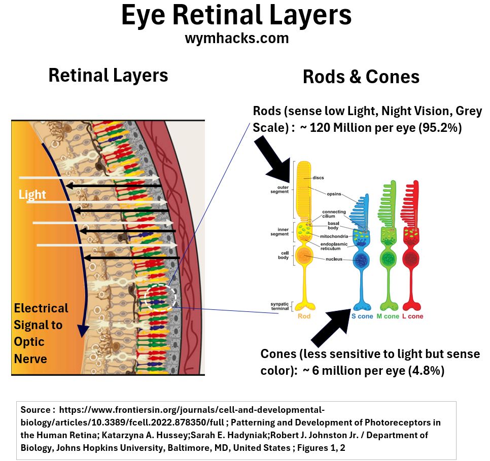 Eye_Retinal_Layers