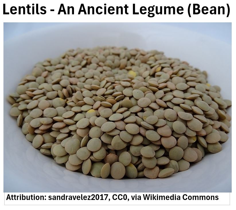 Lentils