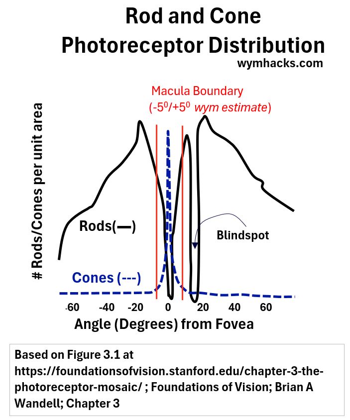 Rod and Cone Retinal Distribution