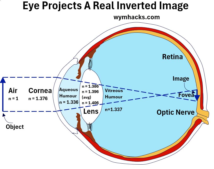 The Eye Projects a Real Inverted Image