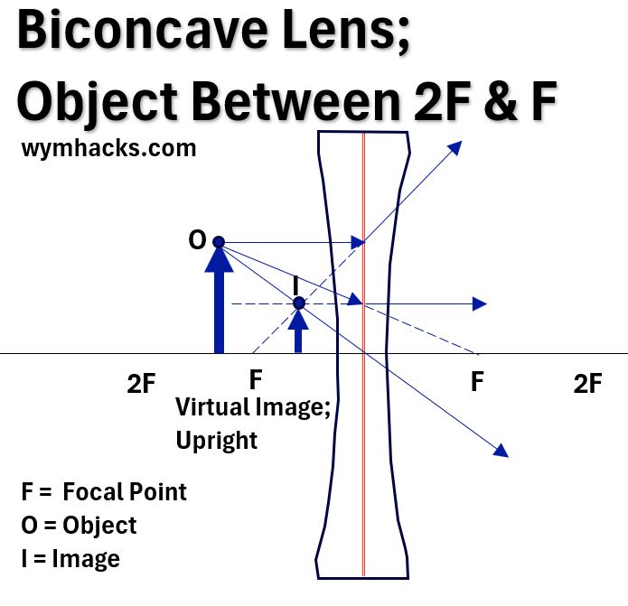 Ray Diagram-Biconcave Lens-Object Between 2F and F