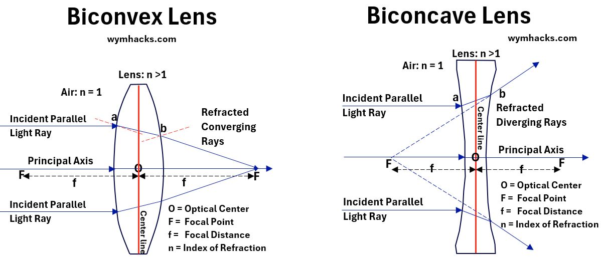 Biconvex and Biconcave Lenses