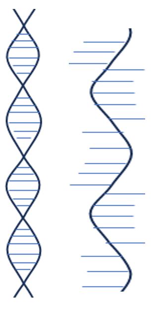 DNA RNA Simple Icon